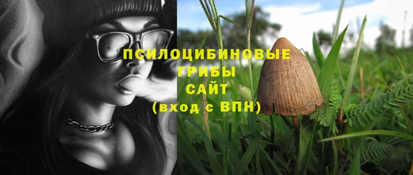 MDMA Богданович