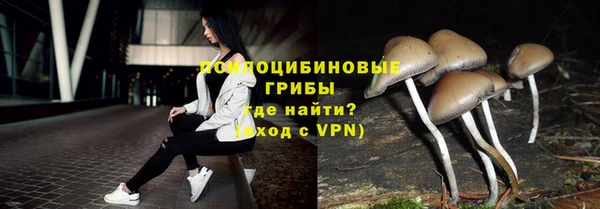 прущие грибы Богородицк