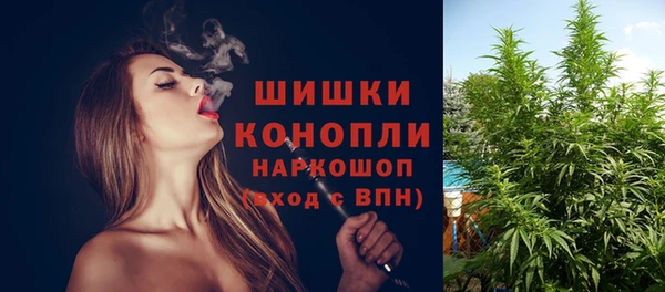 прущие грибы Богородицк