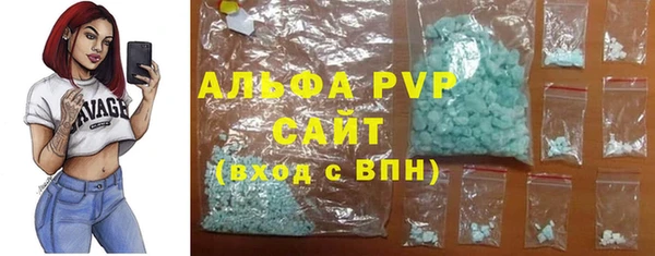 прущие грибы Богородицк
