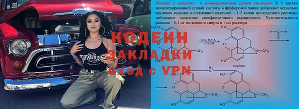прущие грибы Богородицк