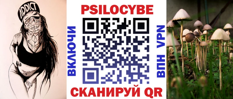 Псилоцибиновые грибы Magic Shrooms  купить   Дятьково 